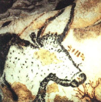 cave drawing of Lascaux bull